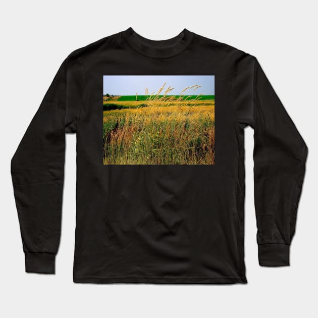 Tall Grasses Long Sleeve T-Shirt by DANAROPER